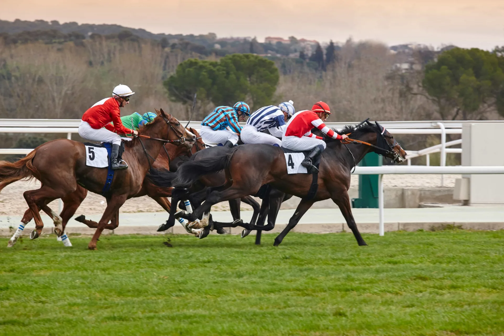 Sports & Entertainment 8 Horse Racing & Trainer Events
