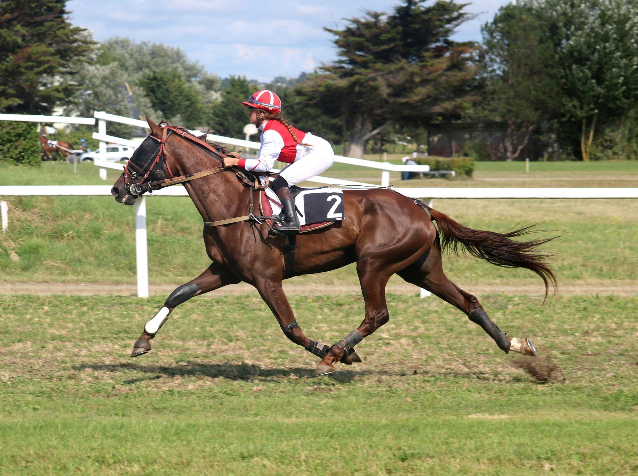 Horse racing action at Haydock Park Racecourse